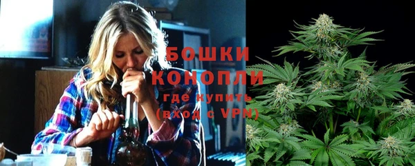 амф Богородск